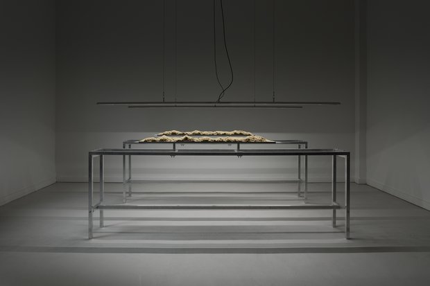 Dennis Siering, Speculative landscapes: prototypes for a Second Nature, 2022, Foto: Ivan Murzin