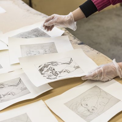 Ansicht auf einen Tisch voller Blätter mit Druckgrafiken. Eine Person mit Handschuhen ordnet sie.
