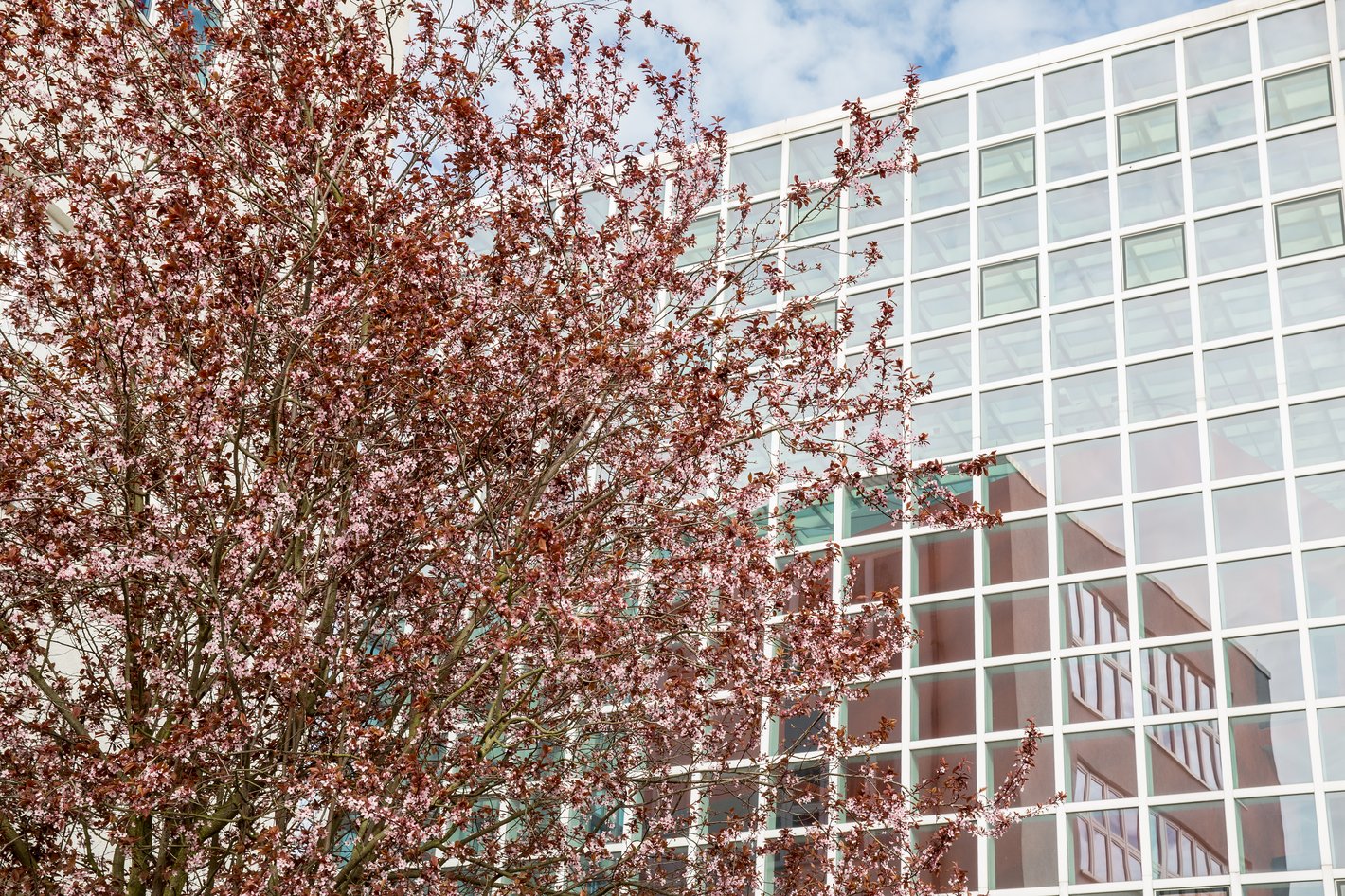 Fassade der HBK-Bibliothek